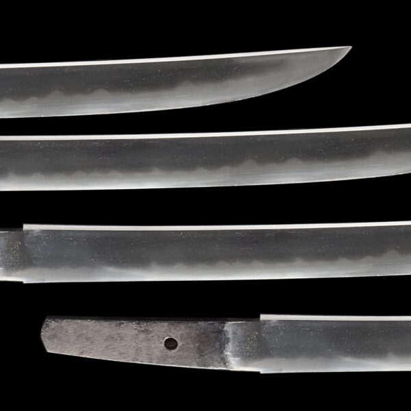 Antique Japanese Sword Wakizashi Signed by Kanesada<br>NBTHK <span style="color: #ff0000;">Hozon </span>Certificate - Image 3