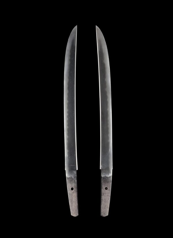 Antique Japanese Sword Wakizashi Signed by Kanesada<br>NBTHK <span style="color: #ff0000;">Hozon </span>Certificate - Image 7