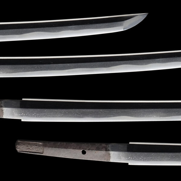 Antique Japanese Sword Wakizashi Signed by Fujiwara Kunimichi<br>NBTHK <span style="color: #ff0000;">Hozon </span>Certificate - Image 3