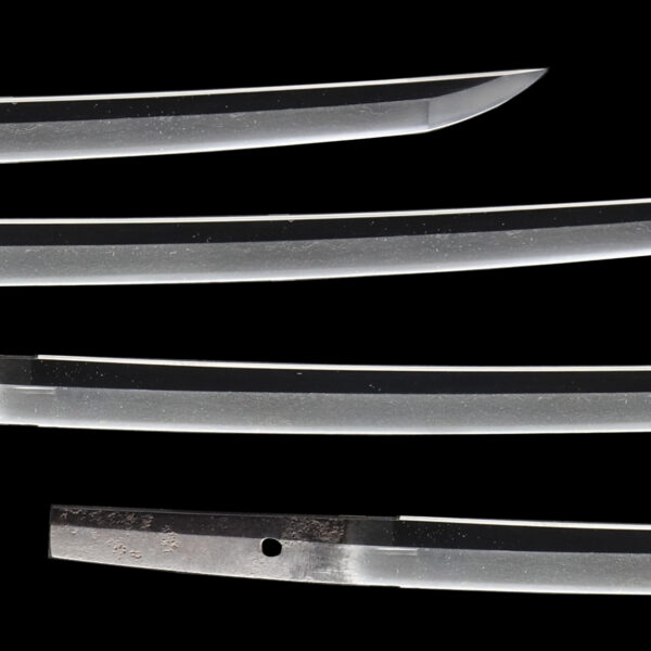 Antique Japanese Sword Wakizashi Kinpun Mei Ko Naminohira <br> NBTHK <span style="color: #ff0000;"><strong> Tokubetsu Hozon</strong> </span>Certificate - Image 3