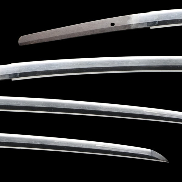Antique Japanese Sword Katana Attributed to Nakayama Yoshimichi<br>NBTHK <span style="color: #ff0000;">Hozon </span>Certificate - Image 2