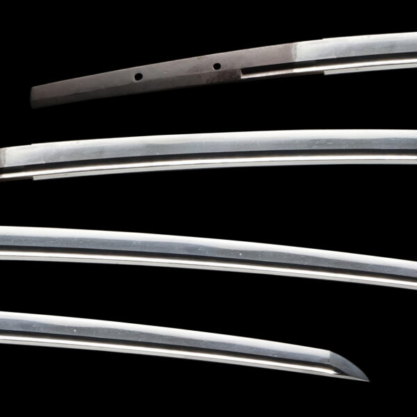Antique Japanese Sword Katana Attributed to Den Rai Kunitsugu<br>NBTHK<span style="color: #ff0000;"><strong> Tokubetsu Hozon</strong> </span>Certificate - Image 2