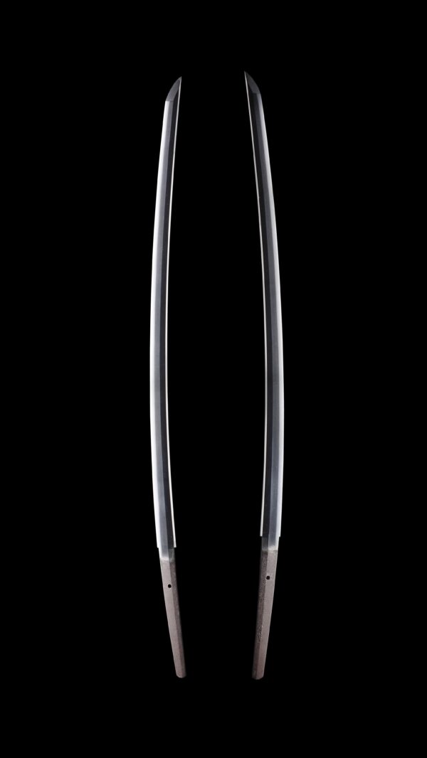 Antique Japanese Sword Katana Signed by 4th-gen Tadayoshi <br> NBTHK<span style="color: #ff0000;"><strong> Tokubetsu Hozon</strong> </span>Certificate - Image 7