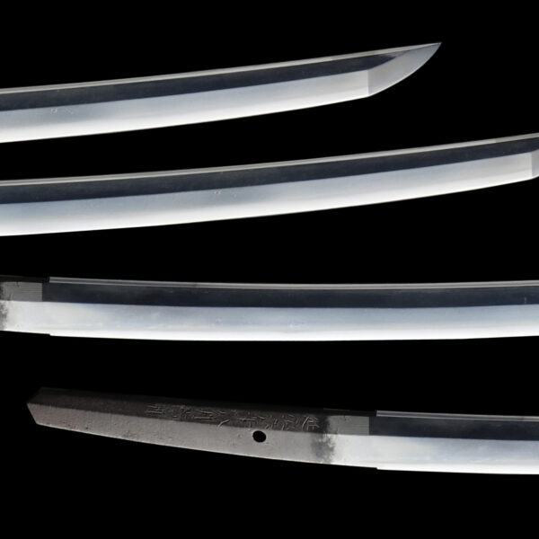 Antique Japanese Sword Wakizashi Signed by Omi Daijo Fujiwara Tadahiro<br> NBTHK <span style="color: #ff0000;"><strong> Tokubetsu Hozon</strong> </span>Certificate - Image 3