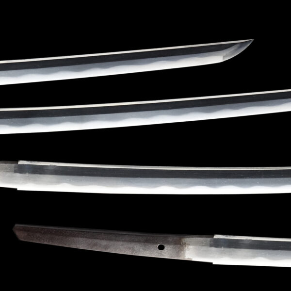 Antique Japanese Sword Katana signed by Tosa Munetoshi <br> NTHK Kanteisho Certificate - Image 3