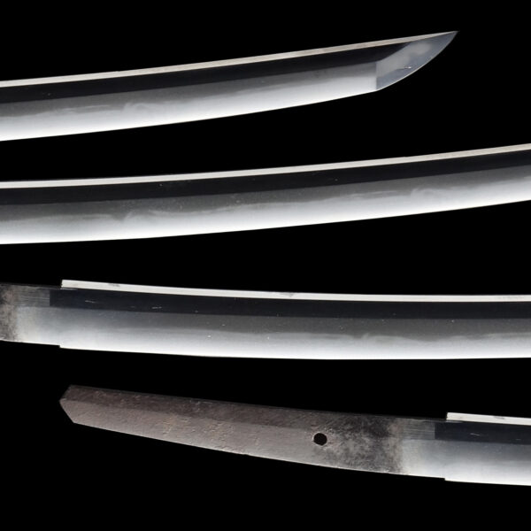 Antique Japanese Sword Wakizashi Signed by Tanba no Kami Yoshimichi <br>NBTHK <span style="color: #ff0000;">Hozon </span>Certificate - Image 3