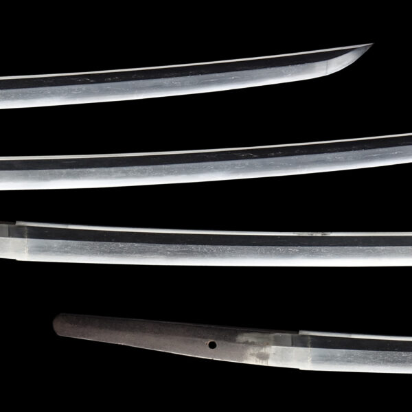 Antique Japanese Sword Katana attributed to Nioh <br>NBTHK Kichou Certificate - Image 3