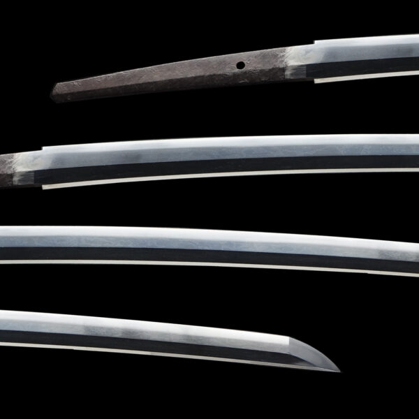 Antique Japanese Sword Katana Signed by Tadakuni <br>NBTHK <span style="color: #ff0000;"><strong>Tokubetsu Hozon</strong> </span>Certificate - Image 2
