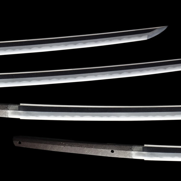Antique Japanese Sword Katana signed by Fujiwara Munetsugu <br><span style="color: #000000;">NBTHK <span style="color: #5accff;"><strong>JUYO TOKEN</strong></span> Certificate</span> - Image 3