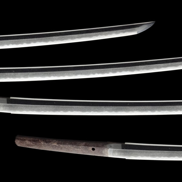 Antique Japanese Sword Katana Attributed to Jumyo<br>NBTHK <span style="color: #ff0000;">Hozon </span>Certificate - Image 3
