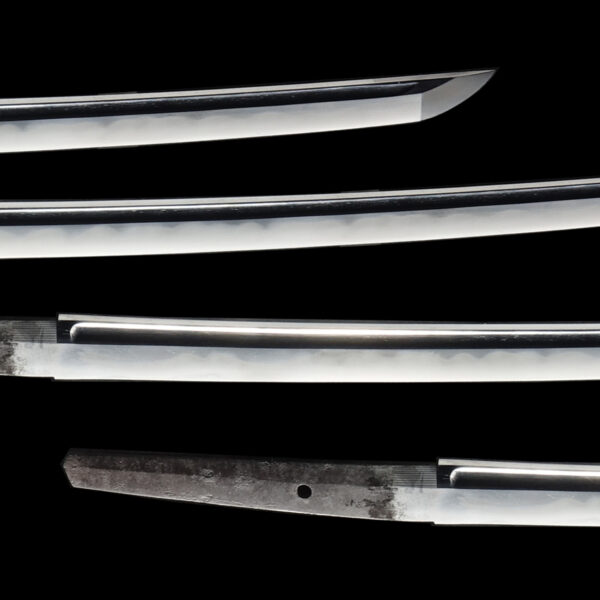 Antique Japanese Sword Wakizashi Signed by Sukehiro <br>NBTHK <span style="color: #ff0000;"><strong>Tokubetsu Hozon</strong> </span>＆<span style="color: #ff0000;">Hozon </span> Tosogu Certificate - Image 3