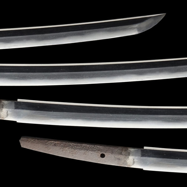 Antique Japanese Sword Wakizashi Signed by Mutsu no Kami Fujiwara Nobusada<br>NBTHK <span style="color: #ff0000;">Hozon </span>Certificate - Image 3