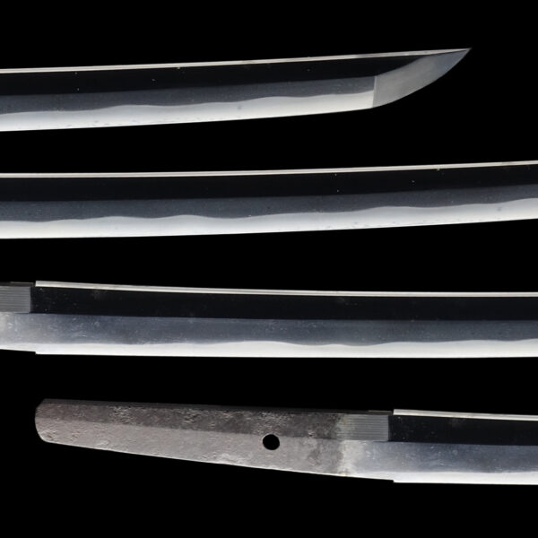 Antique Japanese Sword Wakizashi Signed by Kozuke no suke Minamoto Yoshimasa<br> NBTHK <span style="color: #ff0000;"><strong> Tokubetsu Hozon</strong> </span>Certificate - Image 3