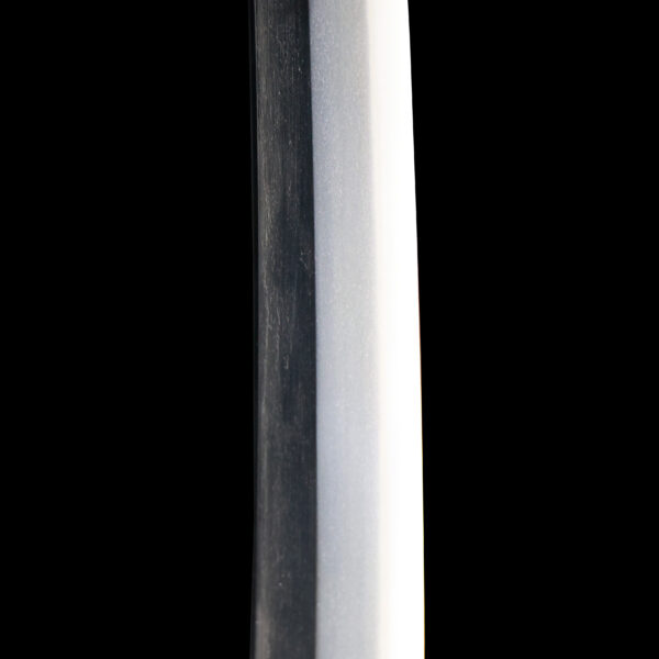 Antique Japanese Sword Wakizashi Signed by Omi Daijo Fujiwara Tadahiro<br> NBTHK <span style="color: #ff0000;"><strong> Tokubetsu Hozon</strong> </span>Certificate - Image 10