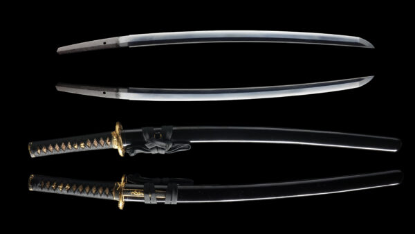 Antique Japanese Sword Wakizashi Signed by Omi Daijo Fujiwara Tadahiro<br> NBTHK <span style="color: #ff0000;"><strong> Tokubetsu Hozon</strong> </span>Certificate - Image 13