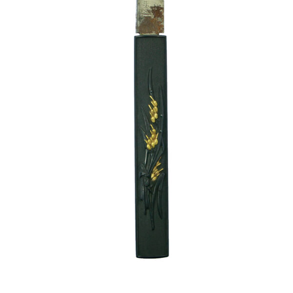 Antique Japanese Sword Katana Signed by Iemori<br> NBTHK <span style="color: #ff0000;">Hozon </span>Certificate - Image 24