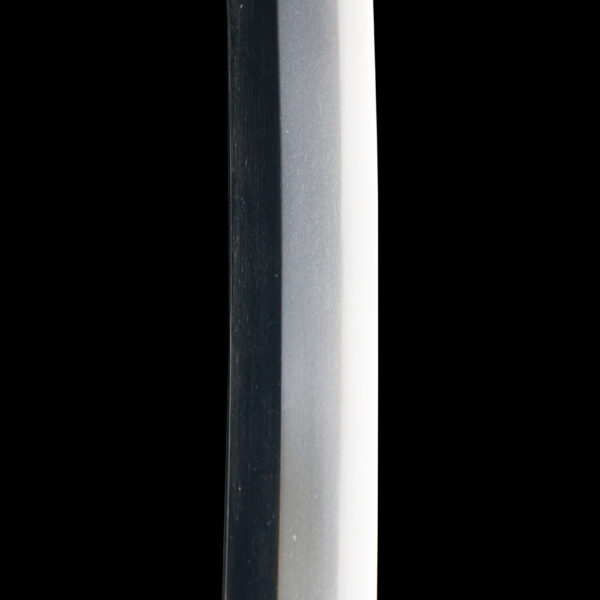 Antique Japanese Sword Wakizashi Signed by Omi Daijo Fujiwara Tadahiro<br> NBTHK <span style="color: #ff0000;"><strong> Tokubetsu Hozon</strong> </span>Certificate - Image 11