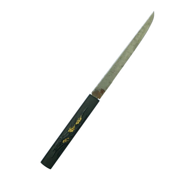 Antique Japanese Sword Katana Signed by Iemori<br> NBTHK <span style="color: #ff0000;">Hozon </span>Certificate - Image 23