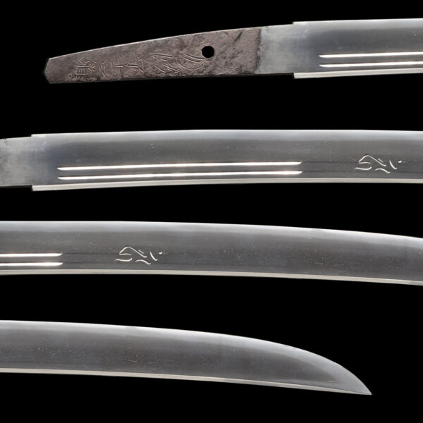 Antique Japanese Sword Wakizashi Signed by Yoshimichi<br> NBTHK <span style="color: #ff0000;"><strong> Tokubetsu Hozon</strong> </span>Certificate - Image 2