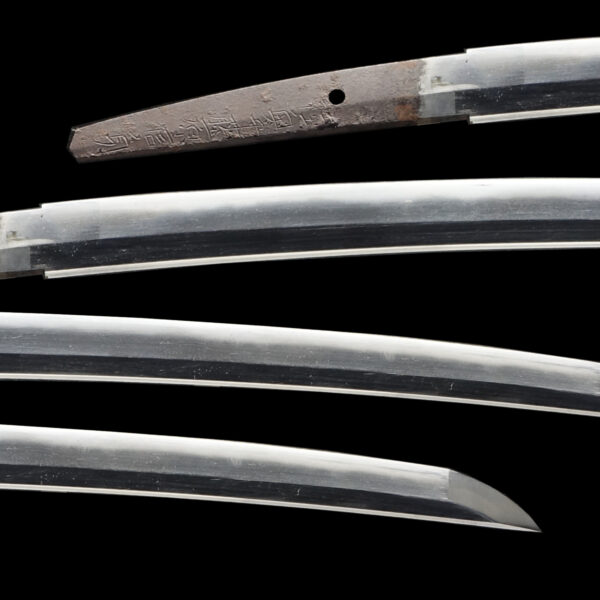 Antique Japanese Sword Wakizashi Signed by Mutsu no Kami Fujiwara Nobusada<br>NBTHK <span style="color: #ff0000;">Hozon </span>Certificate - Image 2