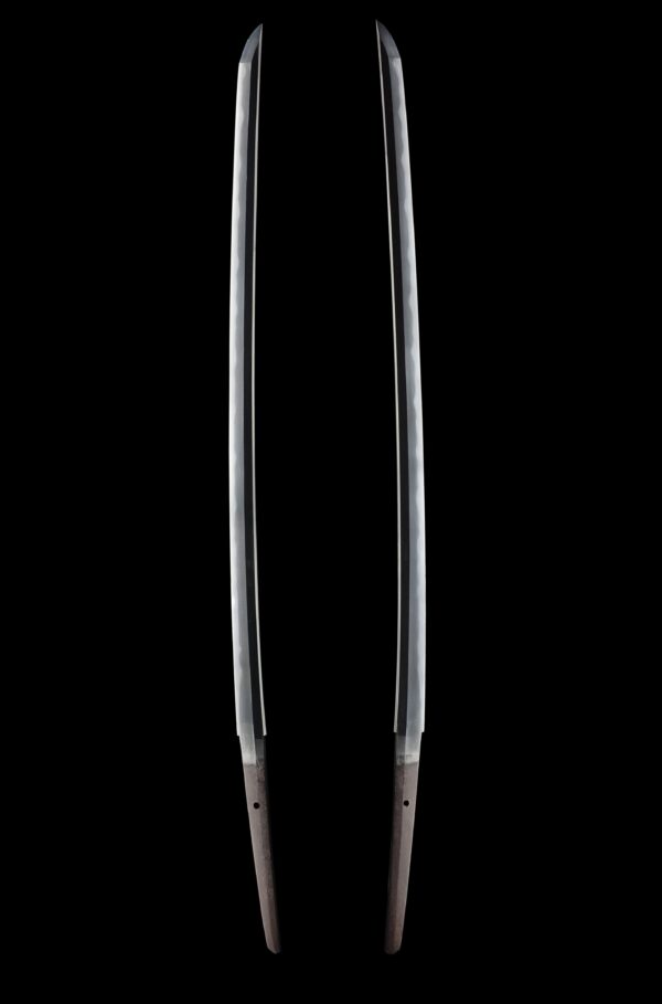 Antique Japanese Sword Katana Signed by Nobukuni<br> NBTHK Tokubetsu Kicho Token and Tosogu Certificate - Image 7