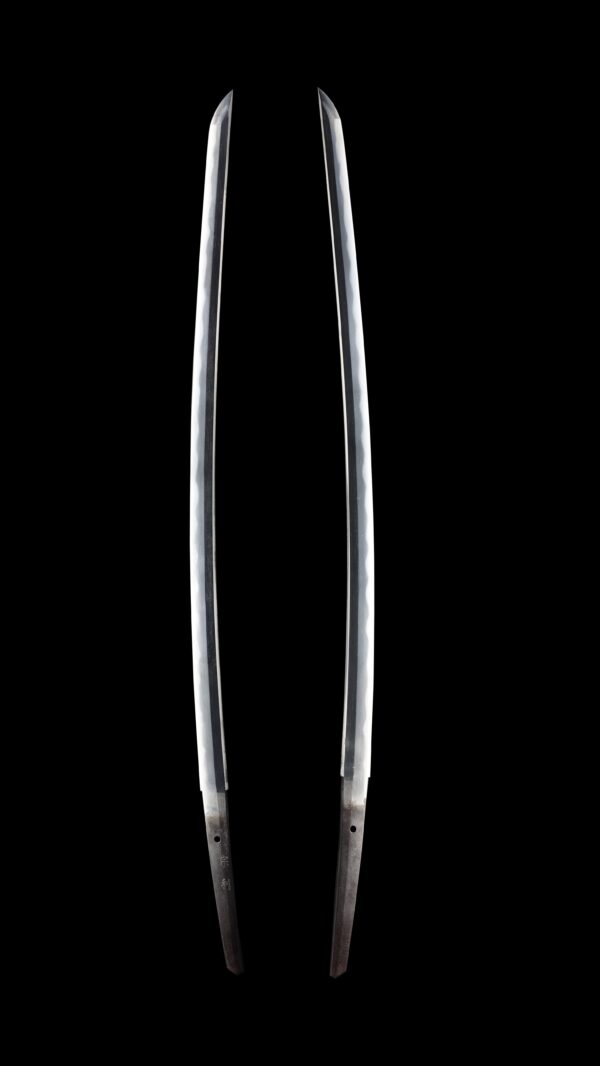 Antique Japanese Sword Katana signed by Tosa Munetoshi <br> NTHK Kanteisho Certificate - Image 7