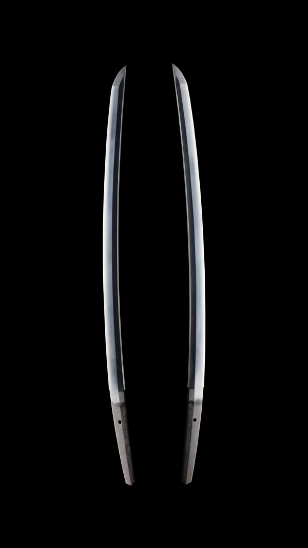 Antique Japanese Sword Wakizashi Signed by Omi Daijo Fujiwara Tadahiro<br> NBTHK <span style="color: #ff0000;"><strong> Tokubetsu Hozon</strong> </span>Certificate - Image 7