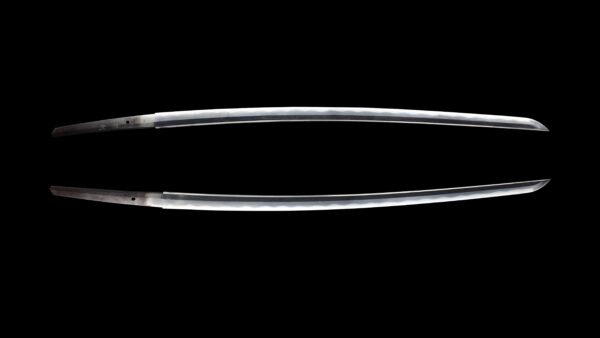 Antique Japanese Sword Katana signed by Tosa Munetoshi <br> NTHK Kanteisho Certificate - Image 12