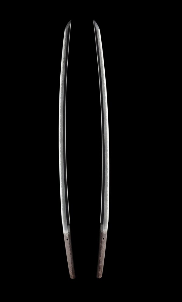 Antique Japanese Sword Katana Attributed to Jumyo<br>NBTHK <span style="color: #ff0000;">Hozon </span>Certificate - Image 7