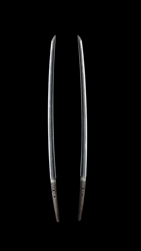 Antique Japanese Sword Katana Signed by Tadakuni<br> NBTHK Tokubetsu Kicho Certificate - Image 7