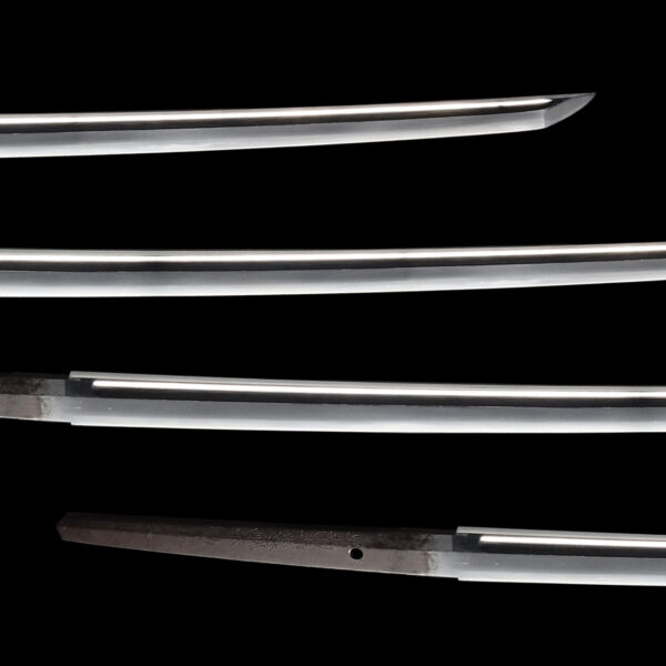 Antique Japanese Sword Katana Signed by Tsuguhira<br>NBTHK<span style="color: #ff0000;"><strong> Tokubetsu Hozon</strong> </span>Certificate - Image 3