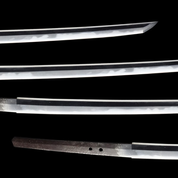 Antique Japanese Sword Katana Signed by Mizuta Ju Kunishige<br>NBTHK <span style="color: #ff0000;">Hozon </span>Certificate - Image 3