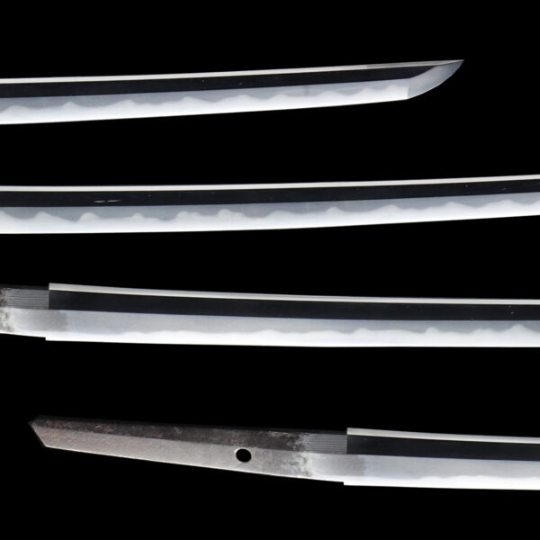 Antique Japanese Sword Katana Signed by Hitachi no Kami Muneshige<br>NBTHK<span style="color: #ff0000;"><strong> Tokubetsu Hozon</strong> </span>Certificate - Image 3