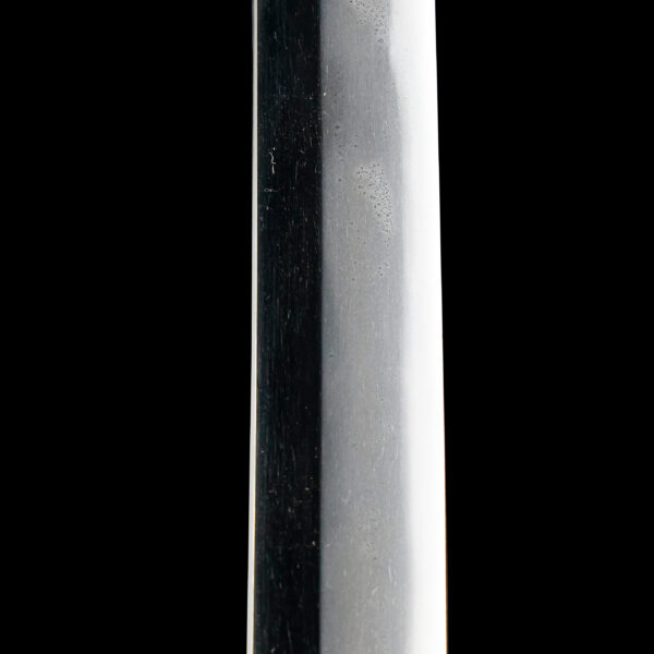 Antique Japanese Sword Katana Signed by Mizuta Ju Kunishige<br>NBTHK <span style="color: #ff0000;">Hozon </span>Certificate - Image 10