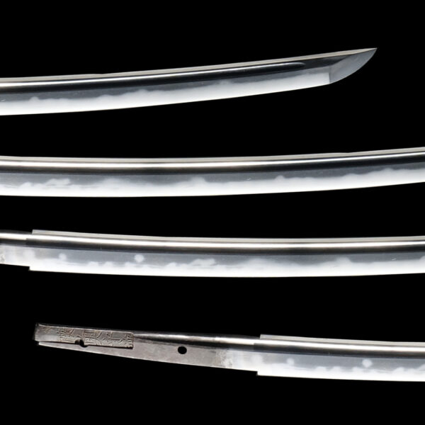 Antique Japanese Sword Daisho signed by 4th-gen Tadayoshi and Toshinaga NBTHK<span style="color: #ff0000;"> <strong>Tokubetsu Hozon </strong></span>Certificate ＆ <span style="color: #ff0000;">Hozon</span> Certificate - Image 5