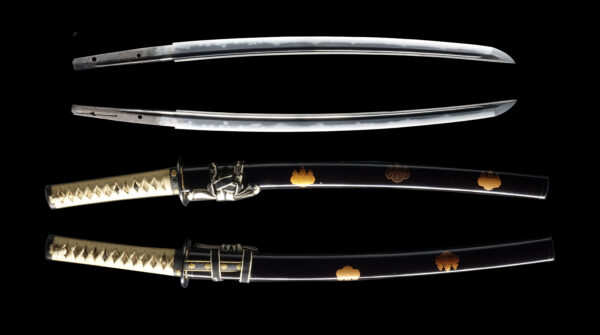 Antique Japanese Sword Daisho signed by 4th-gen Tadayoshi and Toshinaga NBTHK<span style="color: #ff0000;"> <strong>Tokubetsu Hozon </strong></span>Certificate ＆ <span style="color: #ff0000;">Hozon</span> Certificate - Image 25