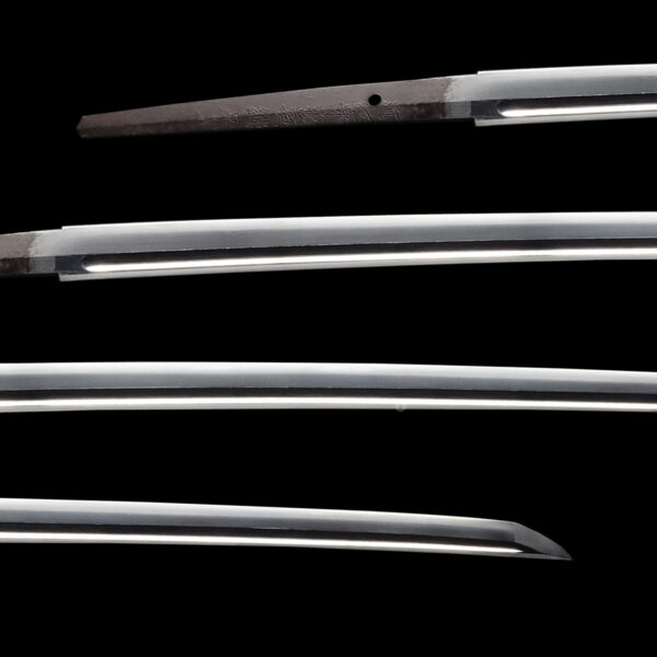 Antique Japanese Sword Katana Signed by Tsuguhira<br>NBTHK<span style="color: #ff0000;"><strong> Tokubetsu Hozon</strong> </span>Certificate - Image 2