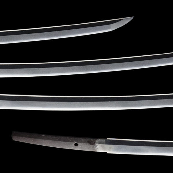 Antique Japanese Sword Katana Signed by Jumyo<br>NBTHK<span style="color: #ff0000;"><strong> Tokubetsu Hozon</strong> </span>Certificate - Image 3