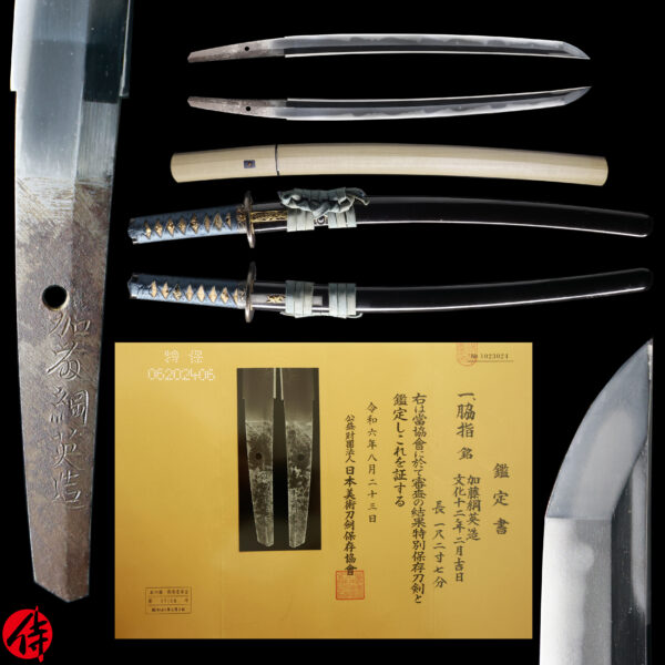 Antique Japanese Sword Wakizashi Signed by Tsunahide<br> NBTHK <span style="color: #ff0000;"><strong> Tokubetsu Hozon</strong> </span>Certificate