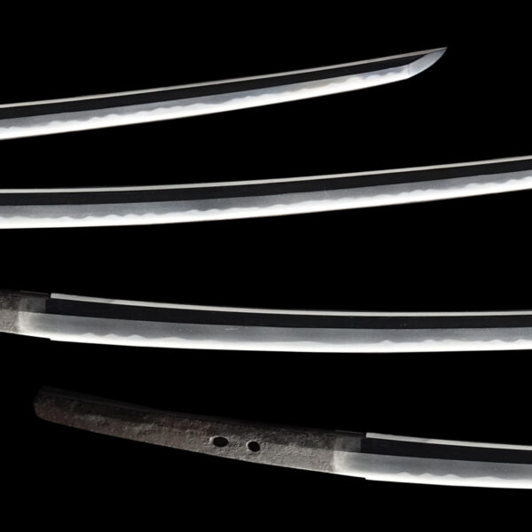 Antique Japanese Sword Tachi Attributed to Kashu Kagemitsu <br>NBTHK<span style="color: #ff0000;"><strong> Tokubetsu Hozon</strong> </span>Certificate - Image 3