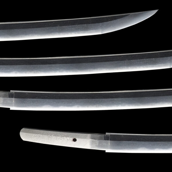 Authentic Modern Japanese Sword Daisho Signed by Minamoto Kiyotsugu - Image 5