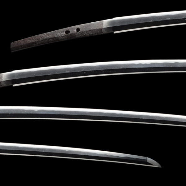 Antique Japanese Sword Tachi Attributed to Kashu Kagemitsu <br>NBTHK<span style="color: #ff0000;"><strong> Tokubetsu Hozon</strong> </span>Certificate - Image 2