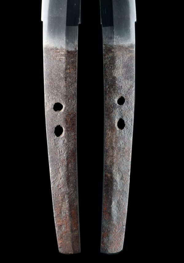 Antique Japanese Sword Tachi Attributed to Kashu Kagemitsu <br>NBTHK<span style="color: #ff0000;"><strong> Tokubetsu Hozon</strong> </span>Certificate - Image 9