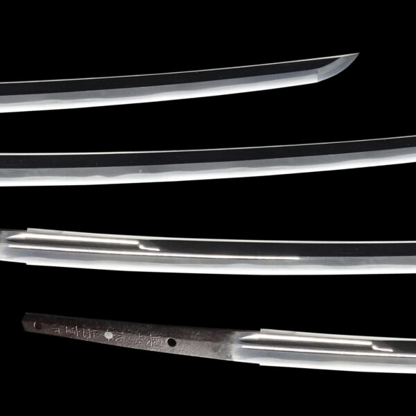Antique Japanese Sword Katana Signed by Tadashige<br> NBTHK Tokubetsu Kicho Certificate - Image 3