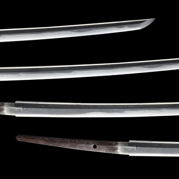 Antique Japanese Sword Katana signed by Tanba no Kami Yoshimichi <br>NBTHK <span style="color: #ff0000;">Hozon </span>Certificate - Image 3