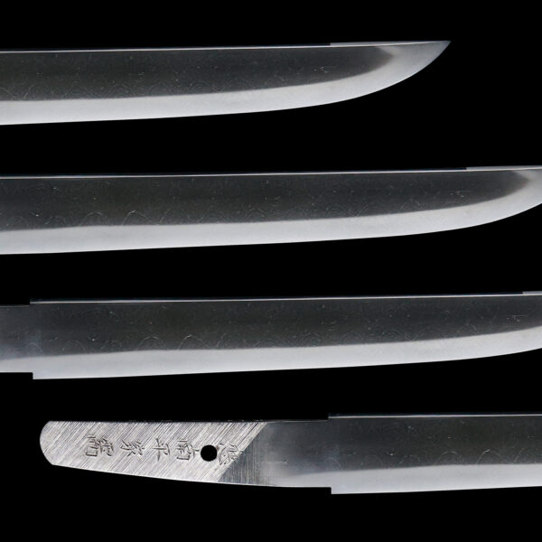 Modern Japanese Sword Tanto Signed by Sadakazu<br>NBTHK <span style="color: #ff0000;"><strong> Tokubetsu Hozon</strong> </span>Certificate - Image 3