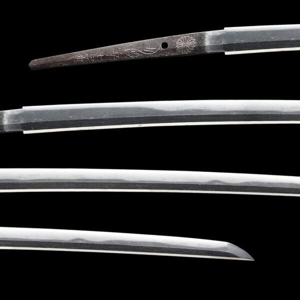 Antique Japanese Sword Katana signed by Tanba no Kami Yoshimichi <br>NBTHK <span style="color: #ff0000;">Hozon </span>Certificate - Image 2