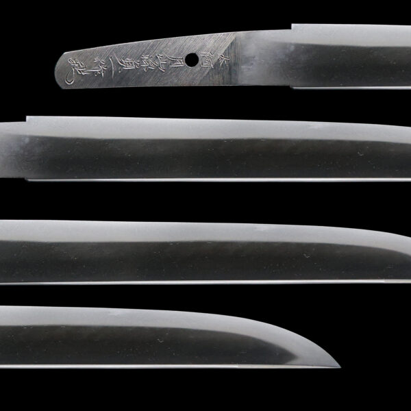 Modern Japanese Sword Tanto Signed by Sadakazu<br>NBTHK <span style="color: #ff0000;"><strong> Tokubetsu Hozon</strong> </span>Certificate - Image 2