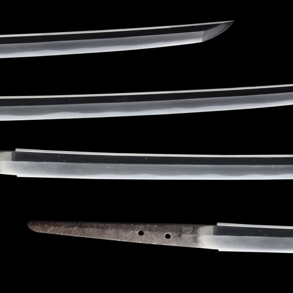 Antique Japanese Sword Katana signed by Tadayuki<br>NBTHK <span style="color: #ff0000;">Hozon </span>Certificate - Image 3
