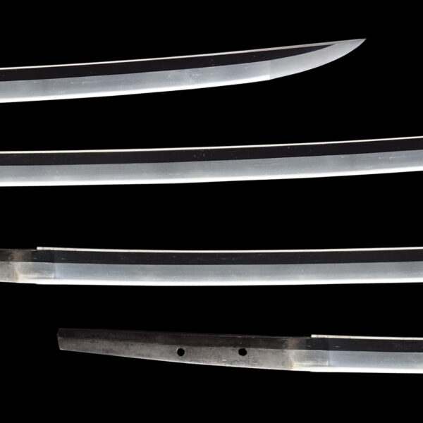 Antique Japanese Sword Katana Attributed to Hokke Kaneyasu<br> NBTHK<span style="color: #ff0000;"><strong> Tokubetsu Hozon</strong> </span>Certificate - Image 3